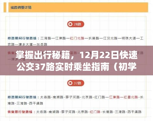 掌握出行秘籍，快速公交37路实时乘坐指南（初学者进阶版）