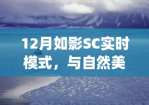 12月实时模式探索，与自然美景的邂逅，心灵宁静之旅