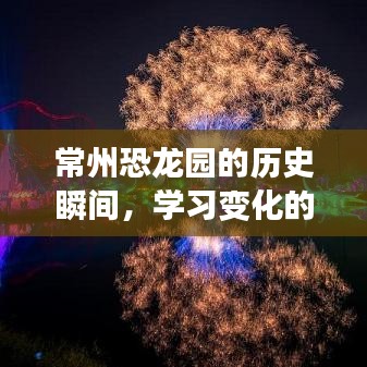 常州恐龙园的历史瞬间，力量与自信的成就之路