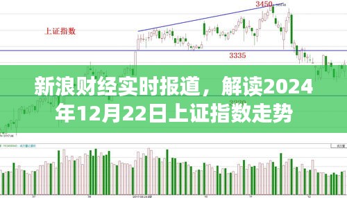 新浪财经解读，上证指数在2024年12月22日的走势分析