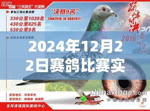 赛鸽比赛直播观看指南，2024年12月22日实时直播在线观看