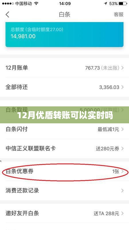 优盾转账实时性解析，12月转账能否实时到账？