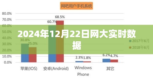 网大实时数据发布，最新报告揭示未来趋势