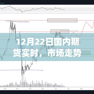 国内期货市场走势分析与展望（实时更新）。