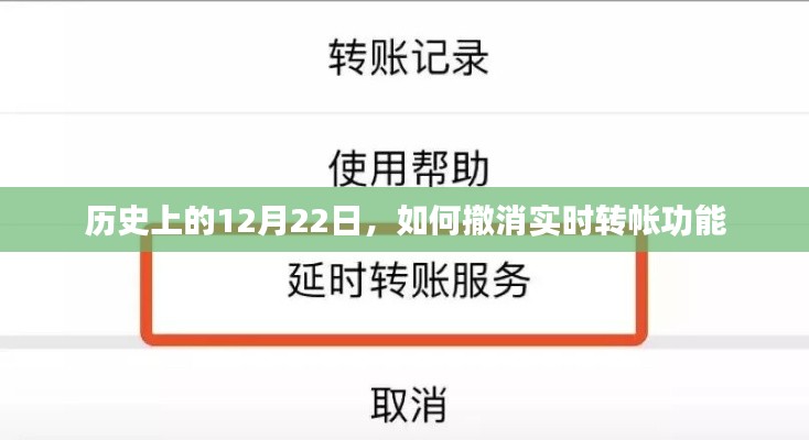 如何撤销实时转账功能？历史日期解析