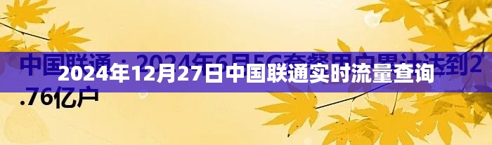 中国联通实时流量查询系统上线，快速查询流量状态