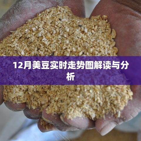 美豆走势图解读与分析，最新实时动态分析