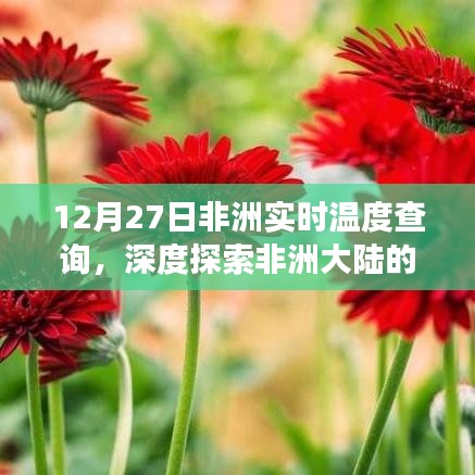 非洲实时温度查询，温暖与寒冷交汇的探索