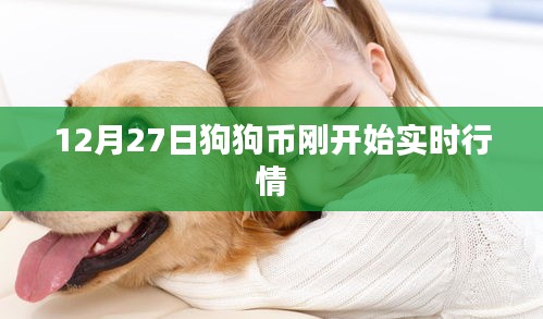 狗狗币实时行情更新，最新市场动态分析