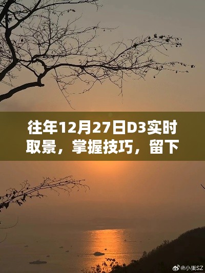 往年12月27日D3摄影技巧，实时取景留住美好瞬间