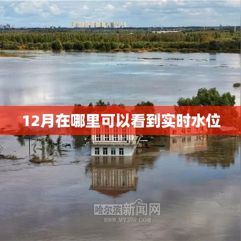 12月实时水位查询地点