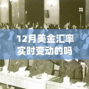 美金汇率实时变动解析，关注12月最新动态