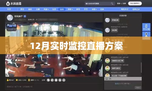 直播监控方案，实时跟踪，确保安全播出