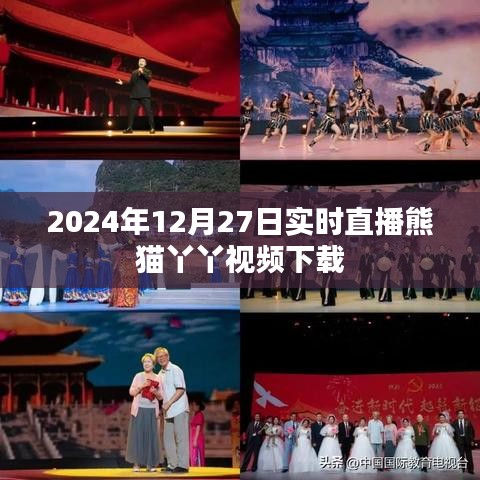 熊猫丫丫直播视频下载 2024年12月27日实时观看