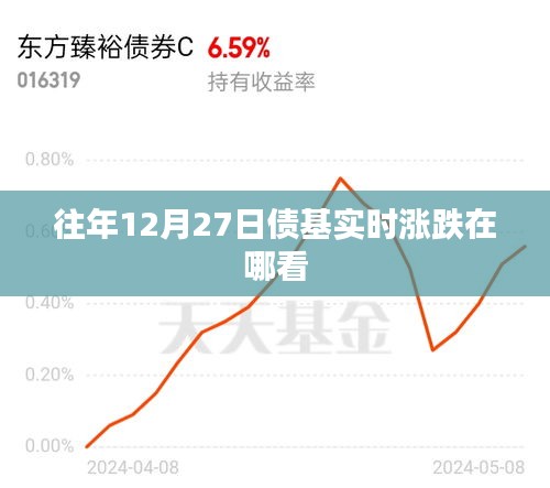 债基实时涨跌查询指南，往年12月27日数据一览