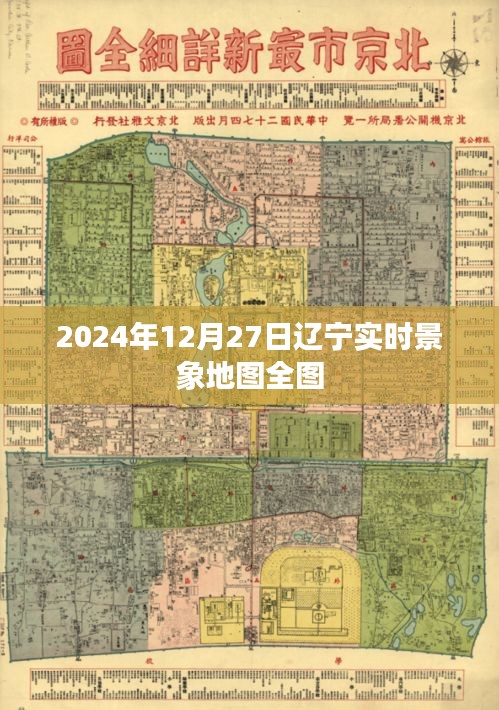 2024年12月30日 第14页