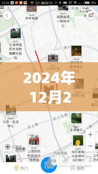 2024年12月30日 第8页