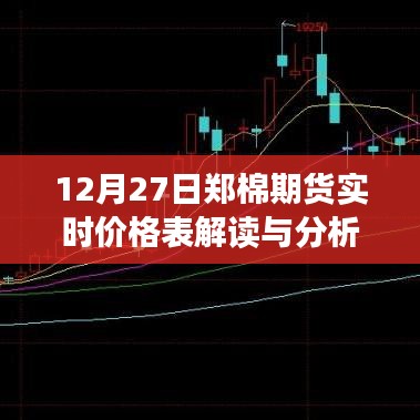 郑棉期货实时价格表解读与分析，市场走势深度剖析