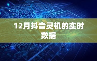 抖音灵机实时数据报告，揭秘十二月数据变化