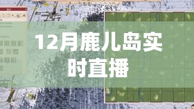 鹿儿岛12月实时直播，美景尽收眼底