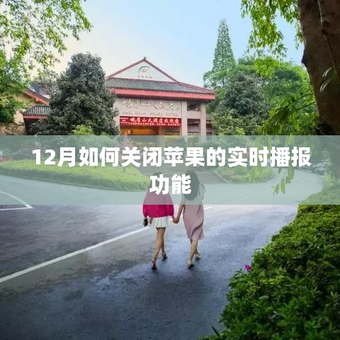 苹果实时播报功能关闭指南，12月操作教程