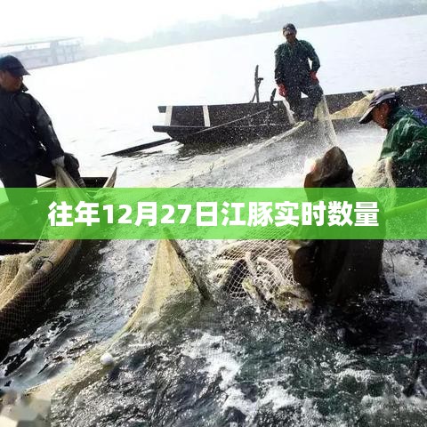 江豚实时数量监测数据发布