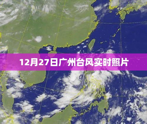 2024年12月31日 第5页