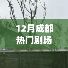 成都十二月热门剧场演出