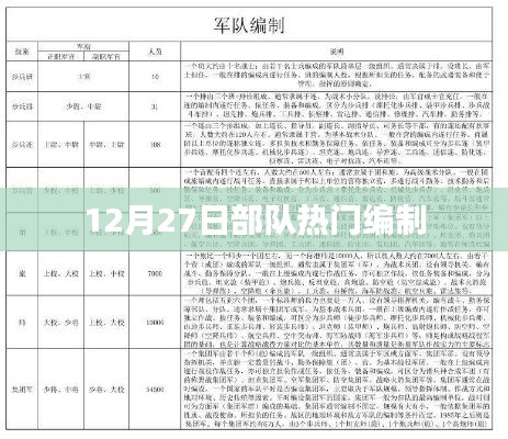 部队最新编制动态，热门编制揭秘