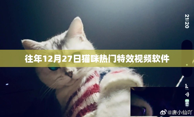 猫咪特效视频软件盘点，历年年终热门推荐