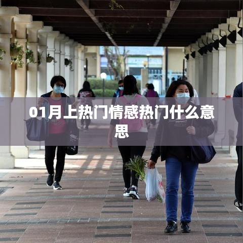 情感热门一月解析，热门情感词汇背后的故事