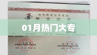 热门大专专业推荐，一月精选榜单