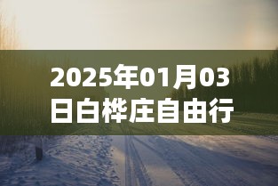 白桦庄自由行指南，热门攻略一网打尽