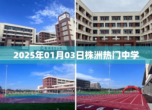 株洲热门中学资讯，2025年1月3日动态更新