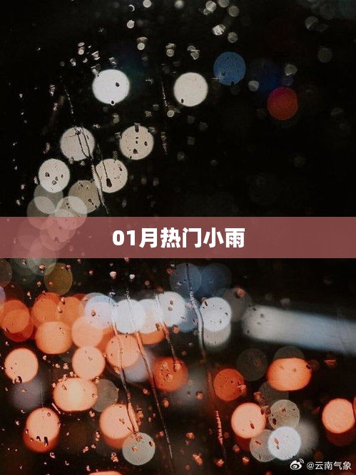 最新热门小雨资讯，一月不容错过