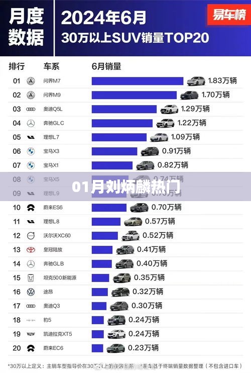 刘炳麟一月热门话题聚焦