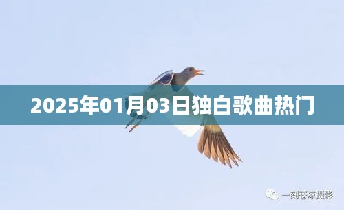 热门独白歌曲，聆听心灵深处的情感告白（2025年）