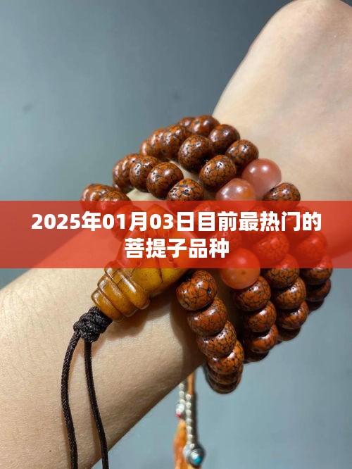 菩提子热门品种介绍，2025年最新潮流之选