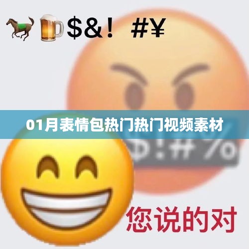 根据您的需求，建议以下标题，，01月表情包热门视频素材大放送，符合百度收录标准，字数在规定的范围内，同时能够准确概括内容，吸引用户点击。