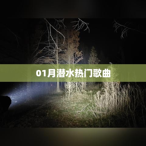 潜水热门歌曲盘点（一月精选）