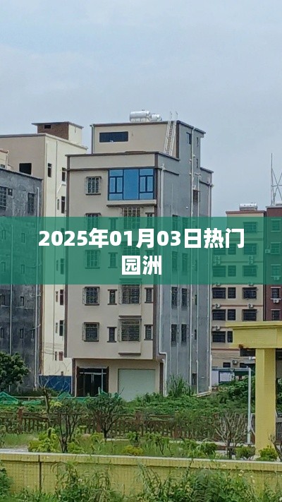 园洲热门活动 2025年1月3日精彩纷呈