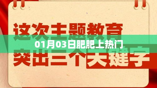 肥肥成为热门焦点，最新动态揭秘！