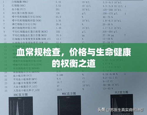 血常规检查，价格与生命健康的权衡之道