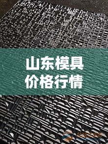 山东模具价格行情网，全新渠道，洞悉模具价格动态