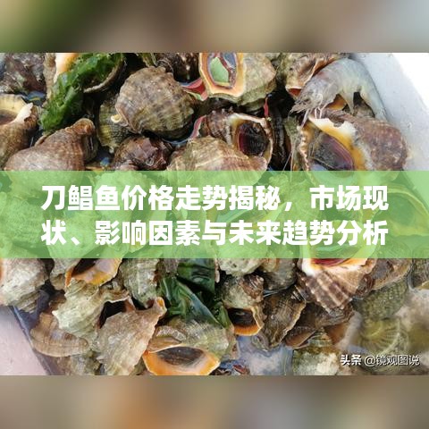 刀鲳鱼价格走势揭秘，市场现状、影响因素与未来趋势分析