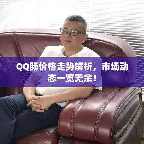 QQ肠价格走势解析，市场动态一览无余！