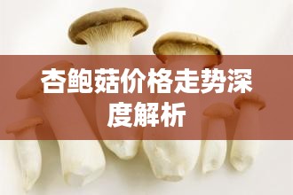 杏鲍菇价格走势深度解析