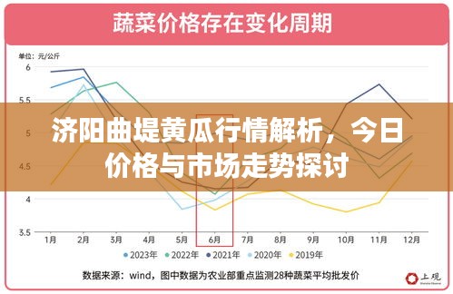 济阳曲堤黄瓜行情解析，今日价格与市场走势探讨