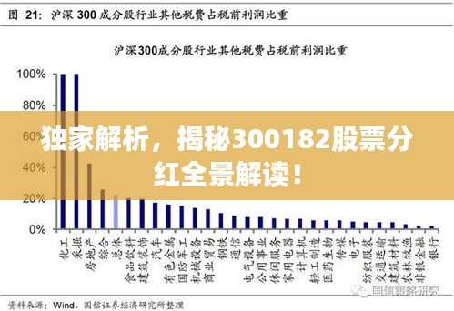 独家解析，揭秘300182股票分红全景解读！