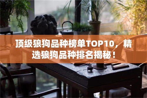 顶级狼狗品种榜单TOP10，精选狼狗品种排名揭秘！